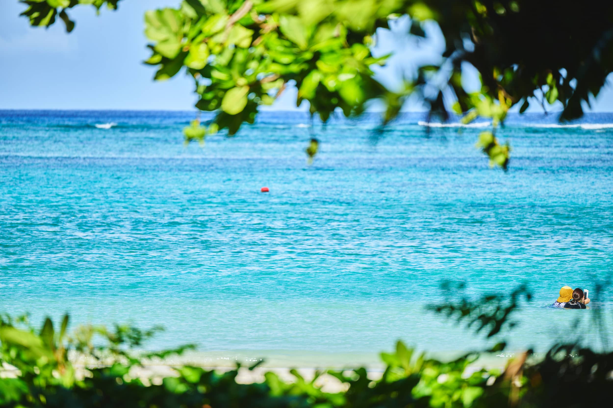 透き通ったビーチ