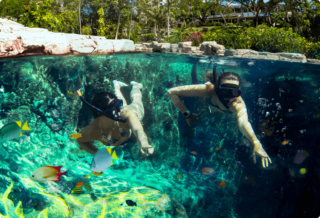 PICグアムの泳げる水族館