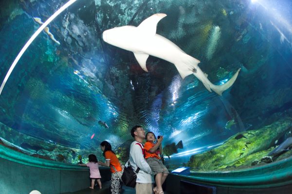 水族館