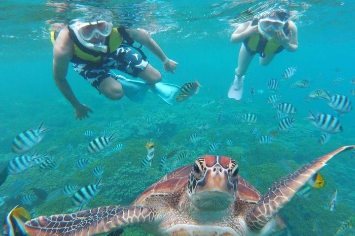 フィッシュアイマリンパークのシュノーケリング
