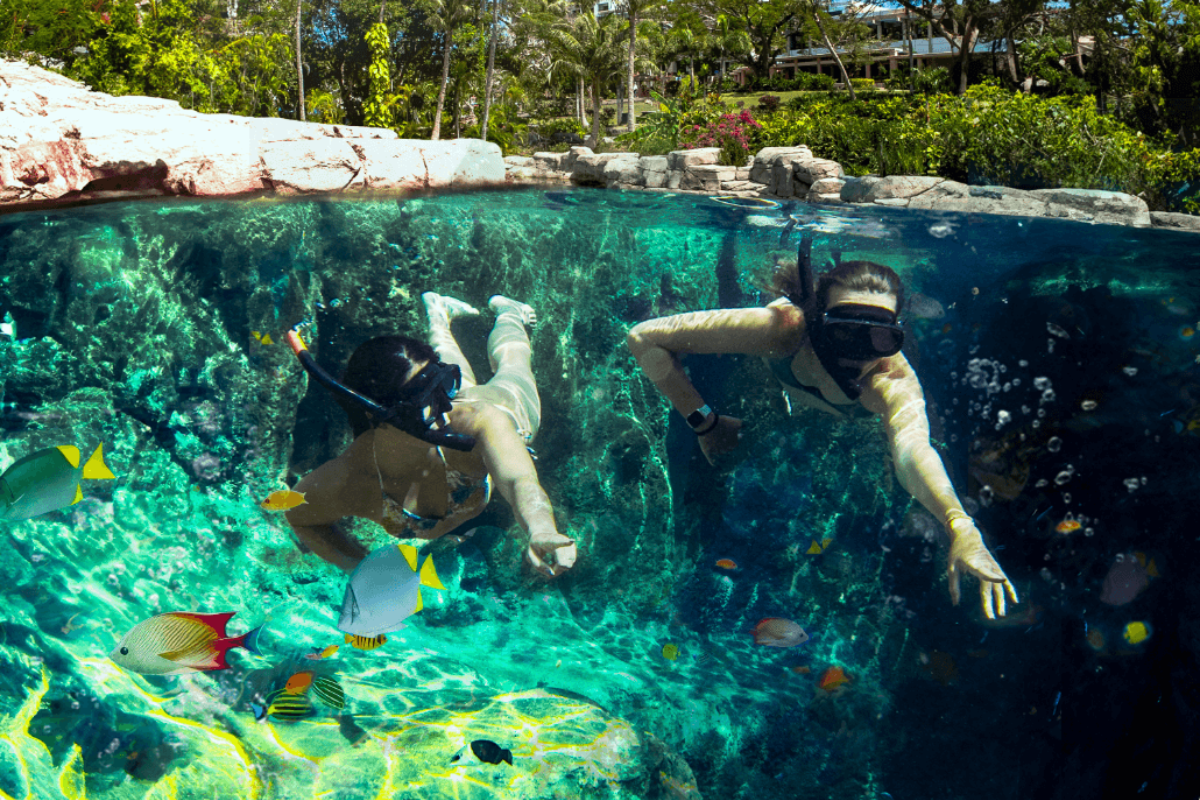 スイムスルーアドベンチャー