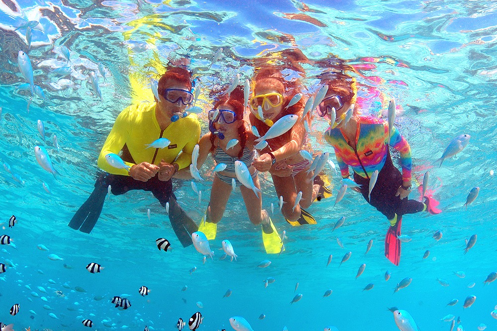 フィッシュアイマリンパークのシュノーケリング