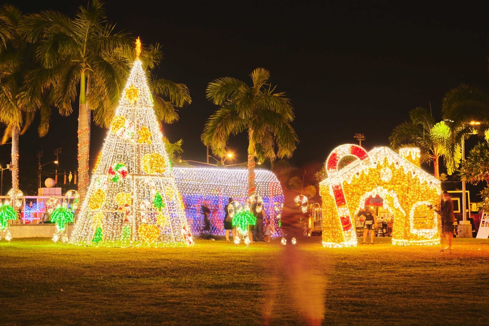 イルミネーション