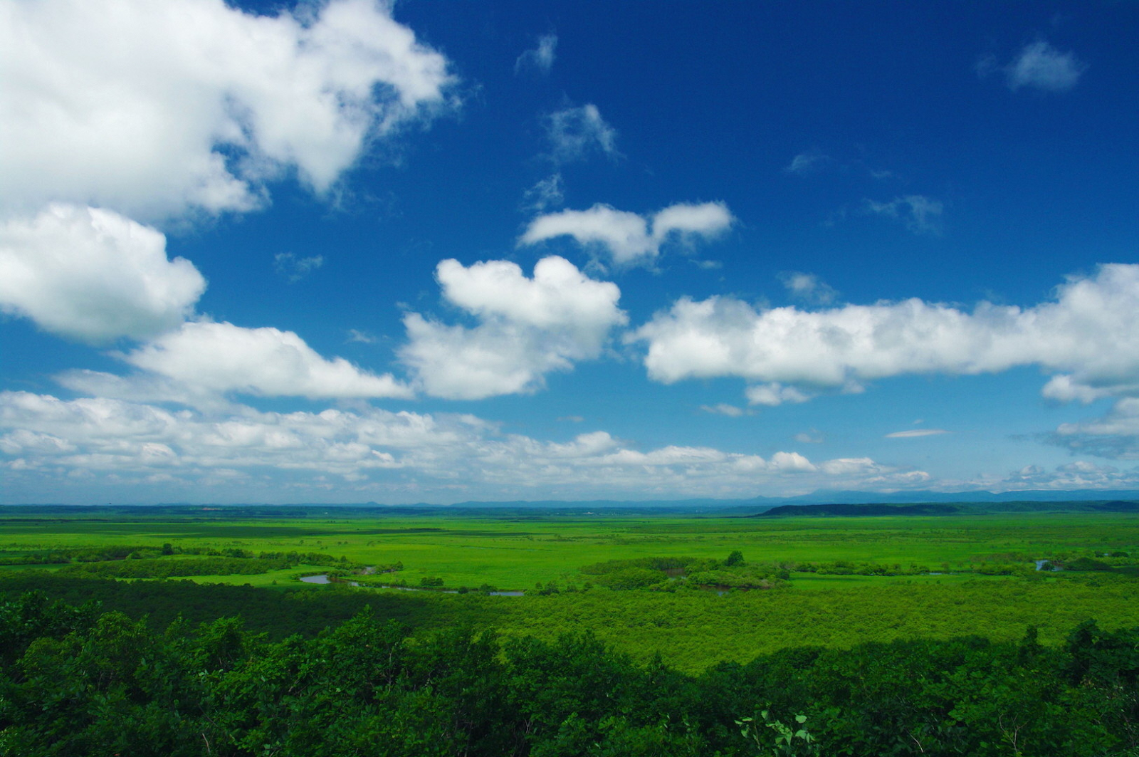 釧路湿原国立公園