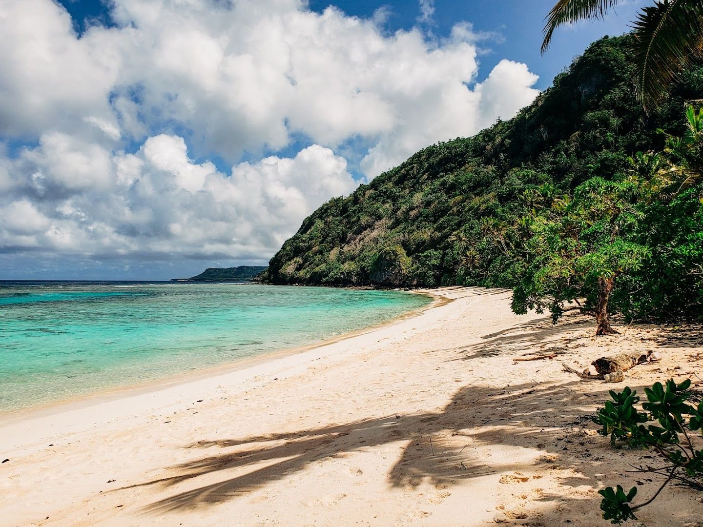 シャーク・コーブ・ビーチ