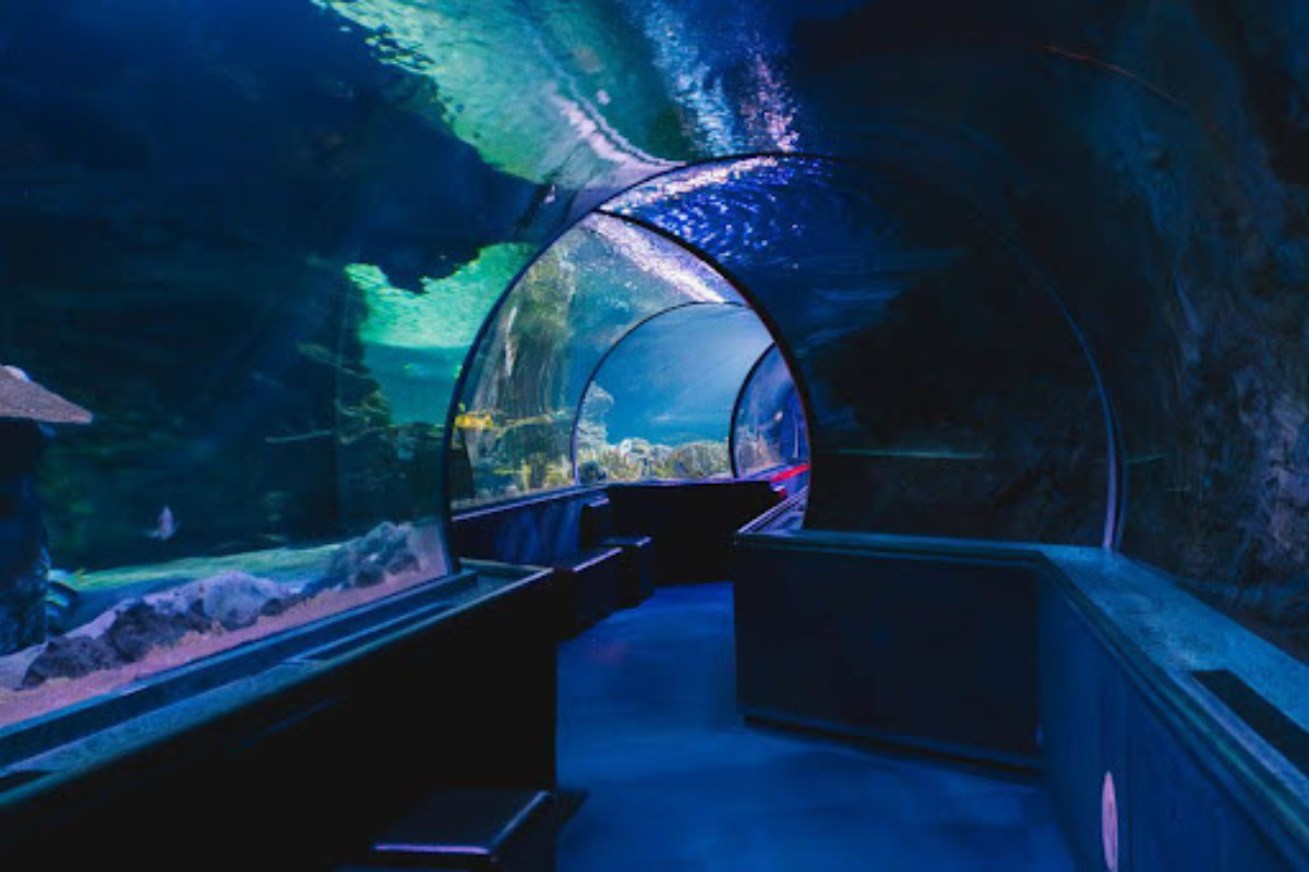 アクアリウム オブ グアム