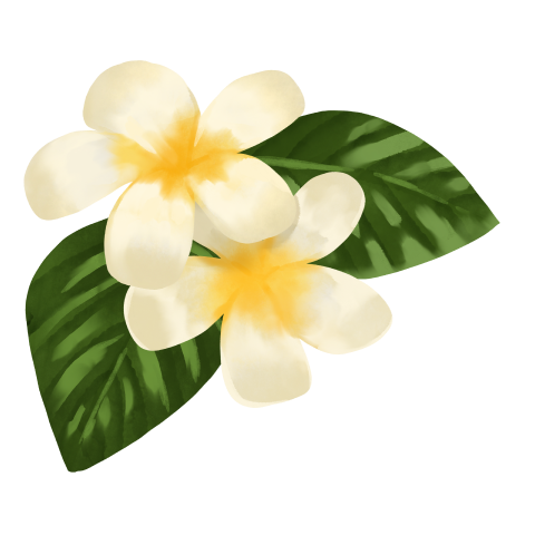 プルメリア
