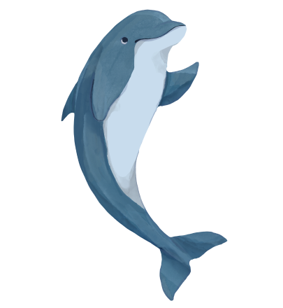 いるかイラスト