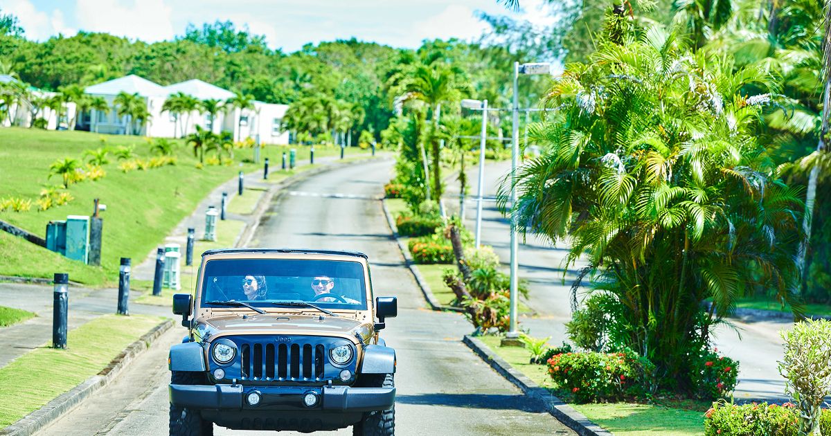 記事イメージ画像