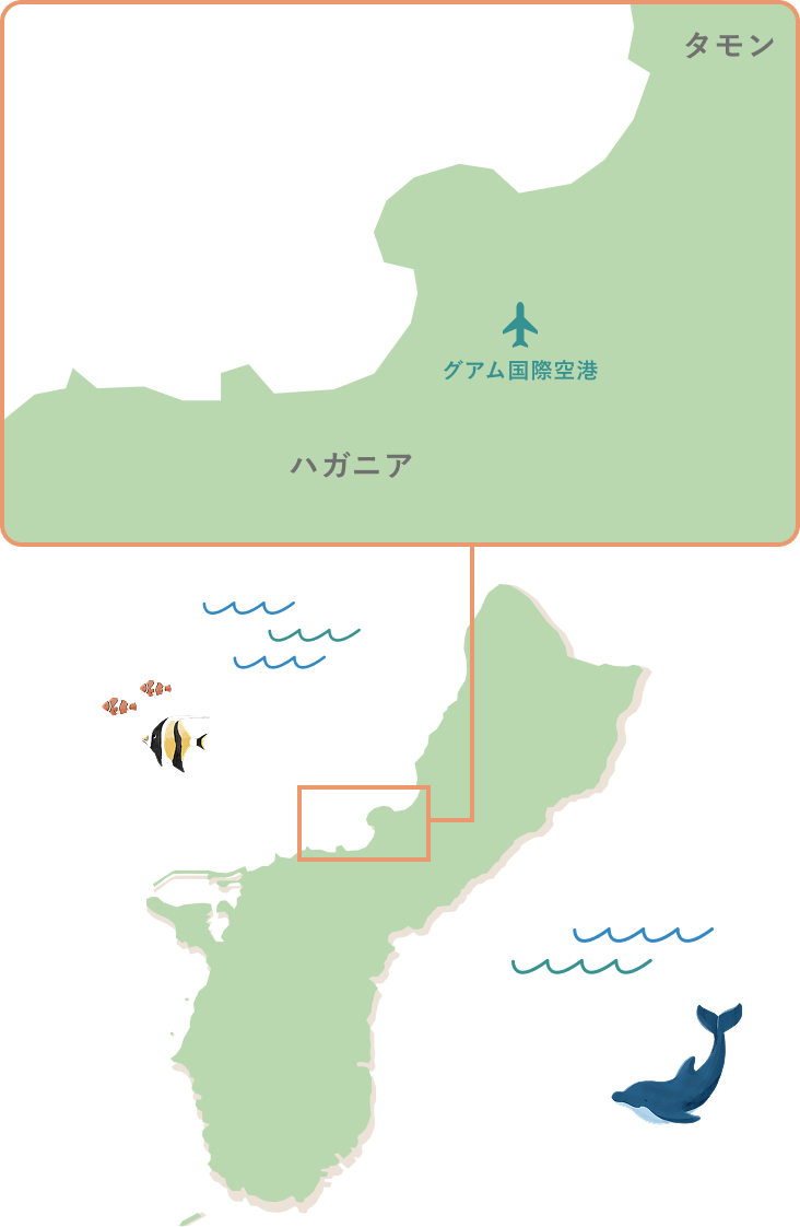 マップ