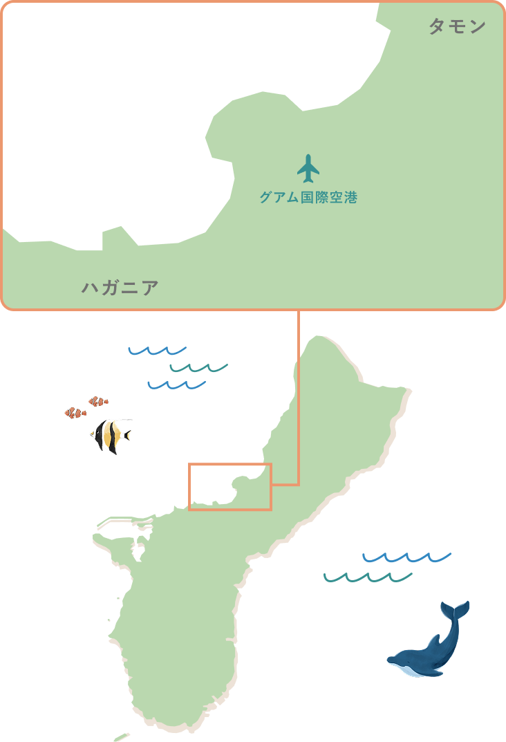 マップ