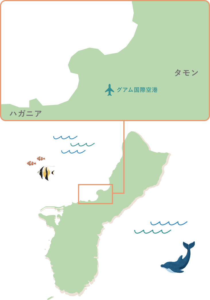 マップ