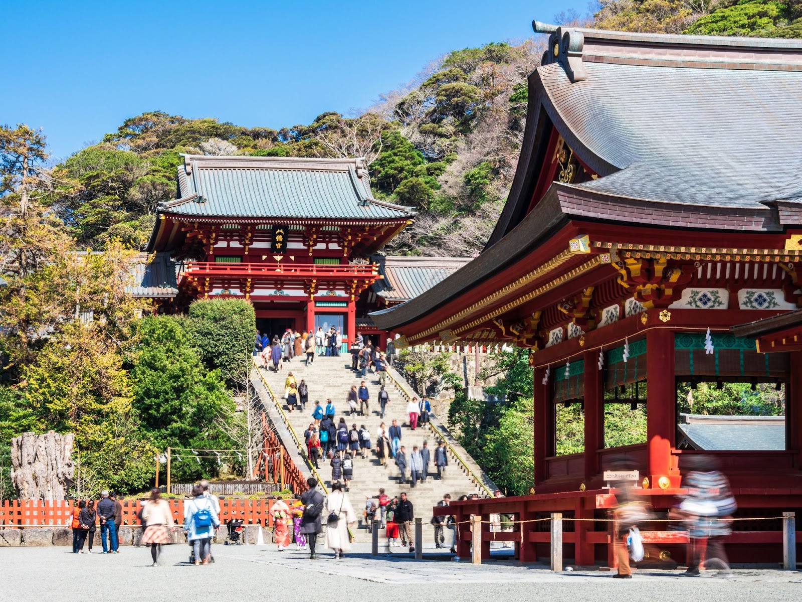 鶴岡八幡宮