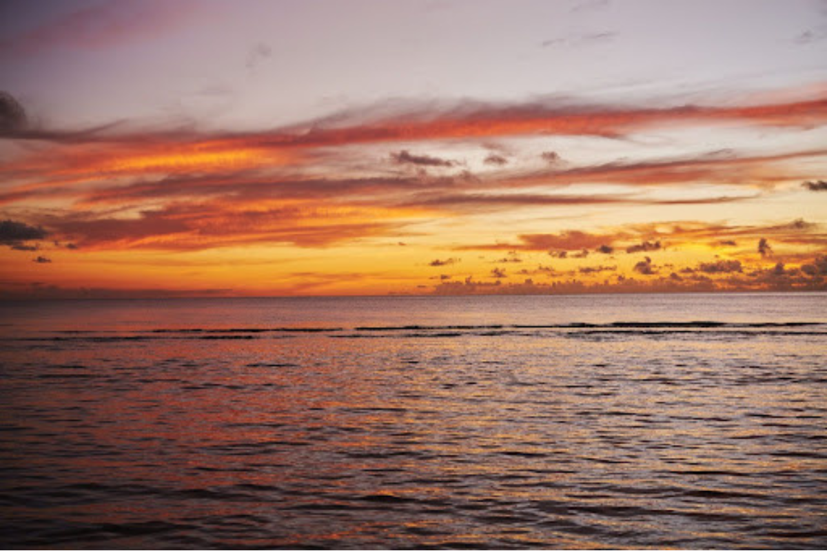 記事イメージ画像