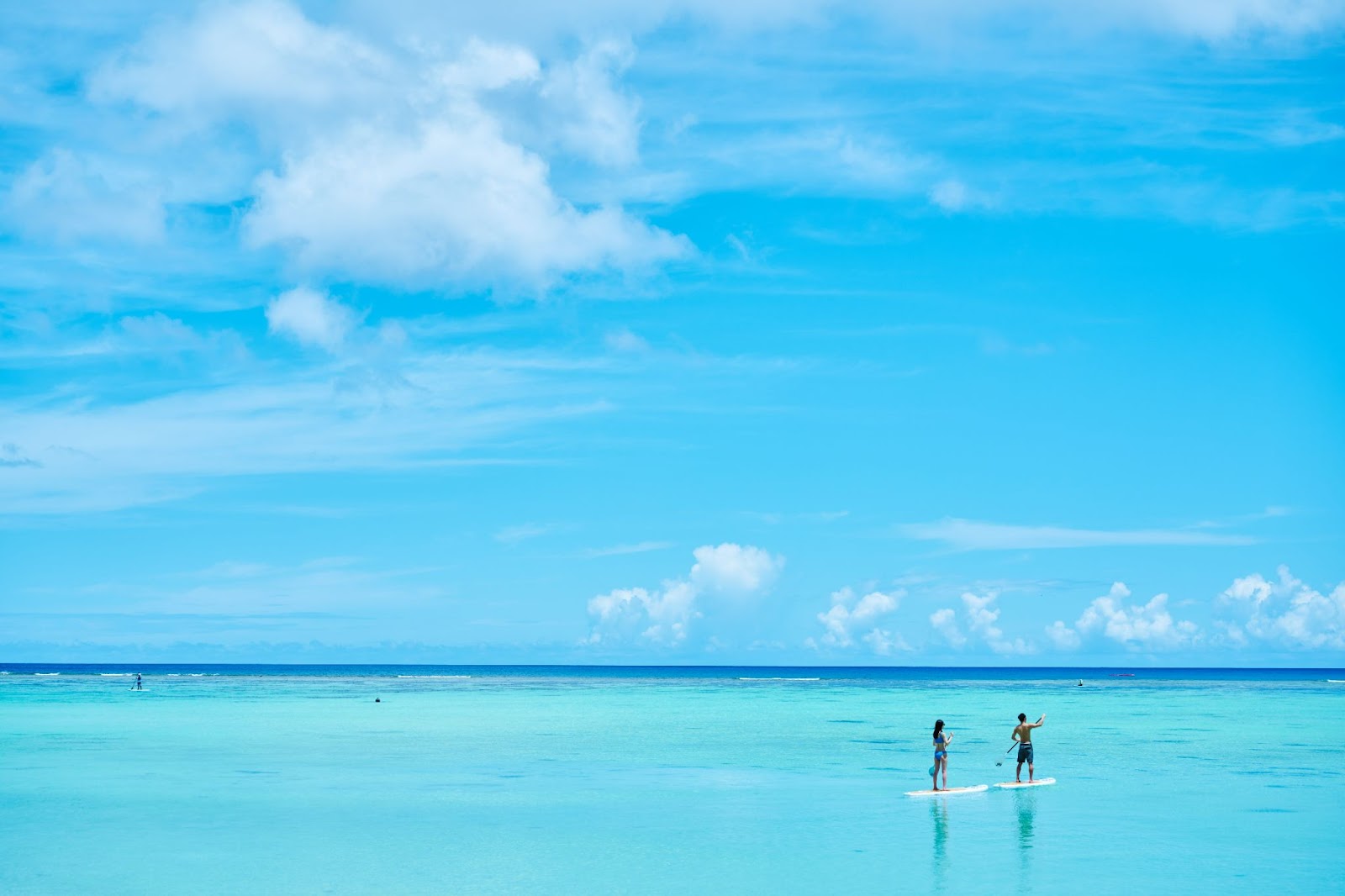 記事イメージ画像