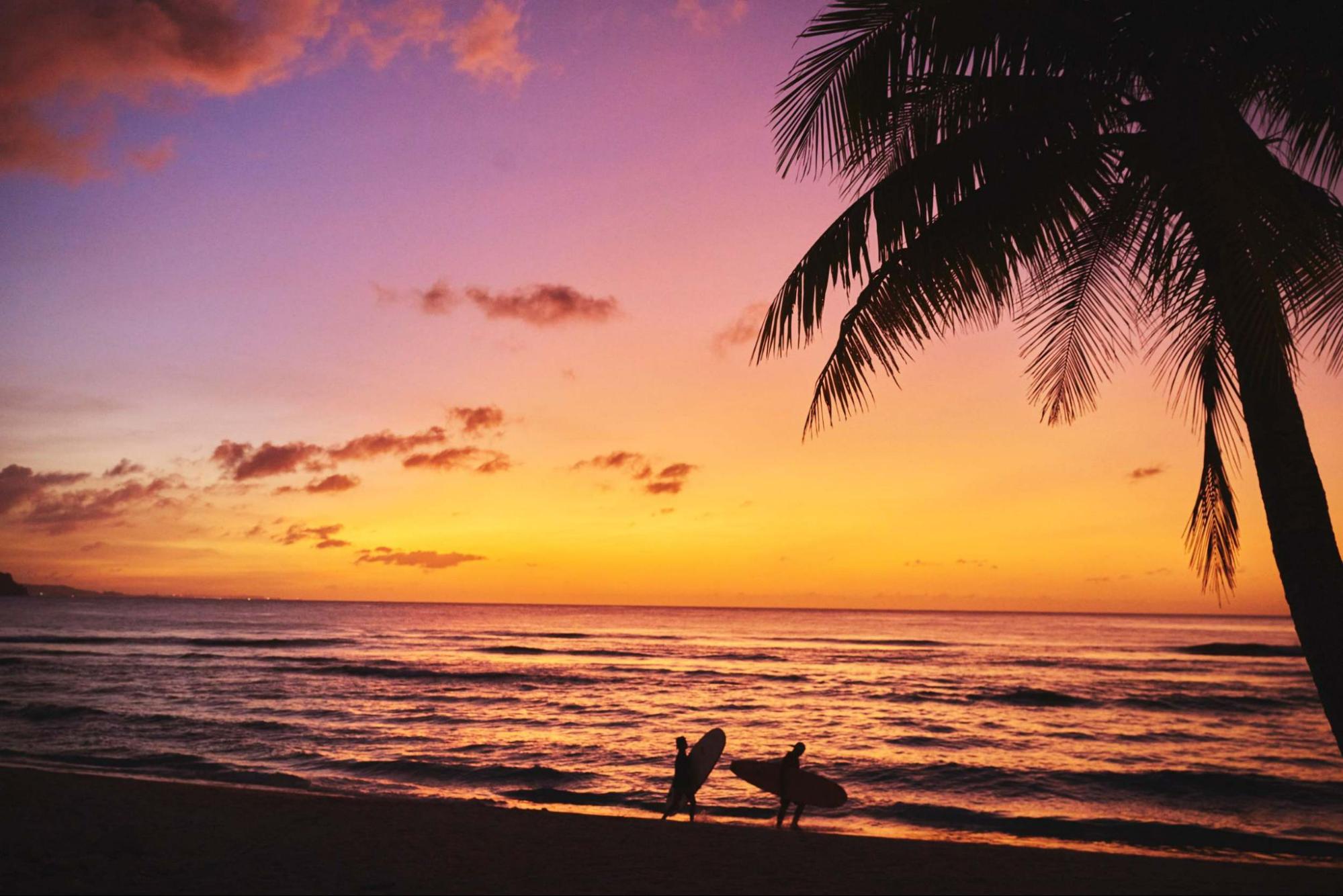 記事イメージ画像