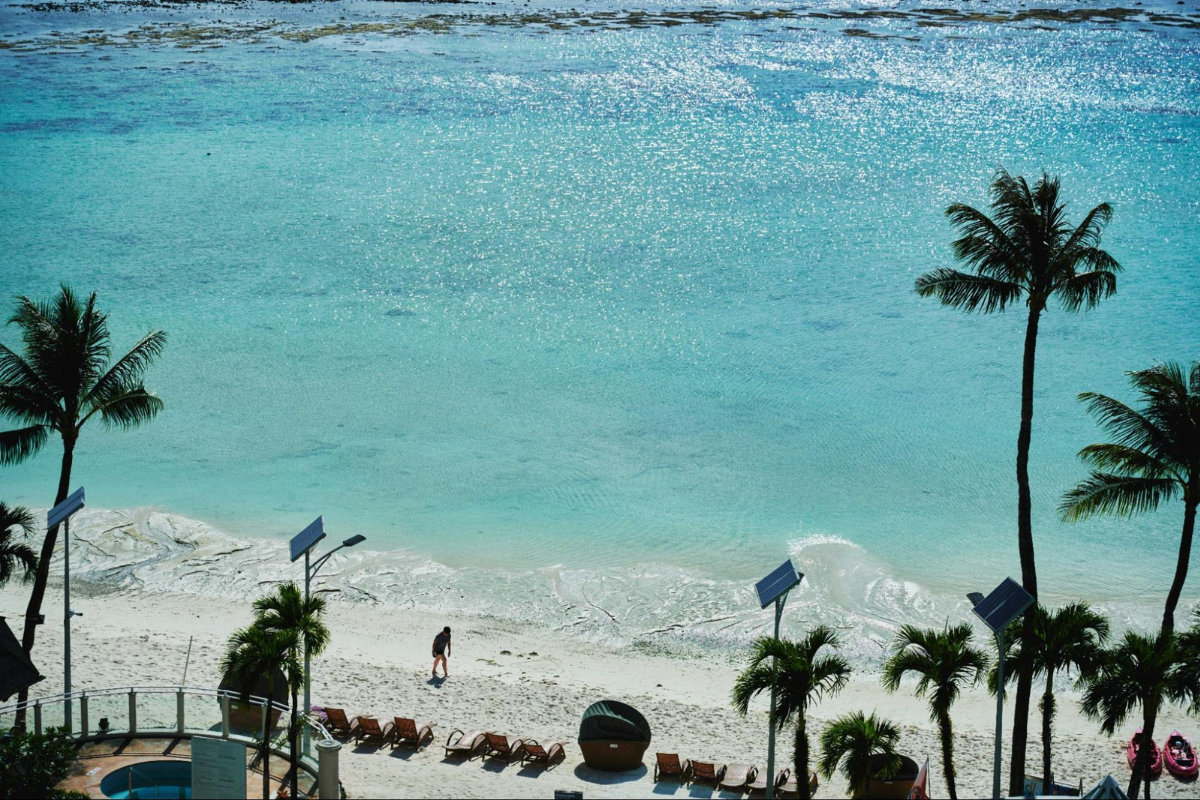 記事イメージ画像