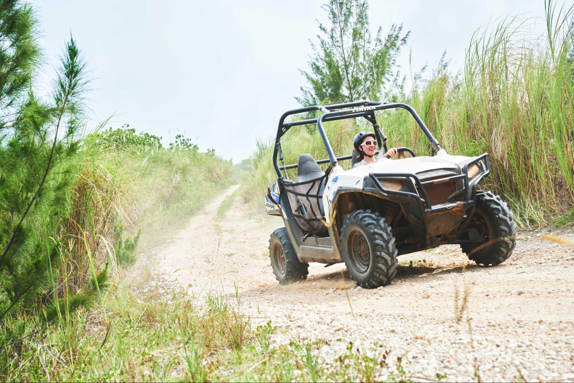 記事イメージ画像